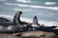 RF_1606_Helgoland-801