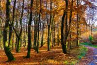 RF_1511_Herbst2015-399