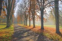 RF_1511_Herbst2015-410