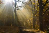 RF_1511_Herbst2015-422