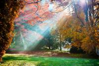 RF_1511_Herbst2015-436