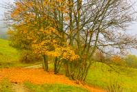 RF_1511_Herbst2015-475