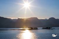 RF_1907_Hurtigruten -Norway-1443