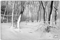 RF_1712_Winter -Grenzweg 2017-629-Bearbeitet-Bearbeitet-Bearbeitet