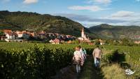 Wachau - Weissenkirchen