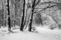 RF_1712_Winter -Grenzweg 2017-613-Bearbeitet-Bearbeitet-Bearbeitet-Bearbeitet