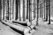 RF_1712_Winter -Grenzweg 2017-620-Bearbeitet-Bearbeitet