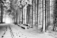 RF_1712_Winter -Grenzweg 2017-626-Bearbeitet-Bearbeitet-Bearbeitet-Bearbeitet